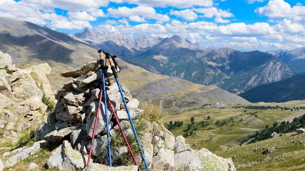 Bastones de trekking